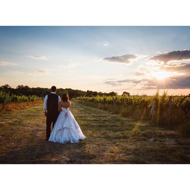silk_bridal's tweet photo. Look how beautiful our bride Sarah &amp; her groom were last night! Picture perfect 💕 #silkbridal #silkbride https://t.co/vOnMTZ1Q3F