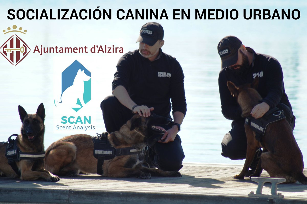 Scan-K9 tweet media