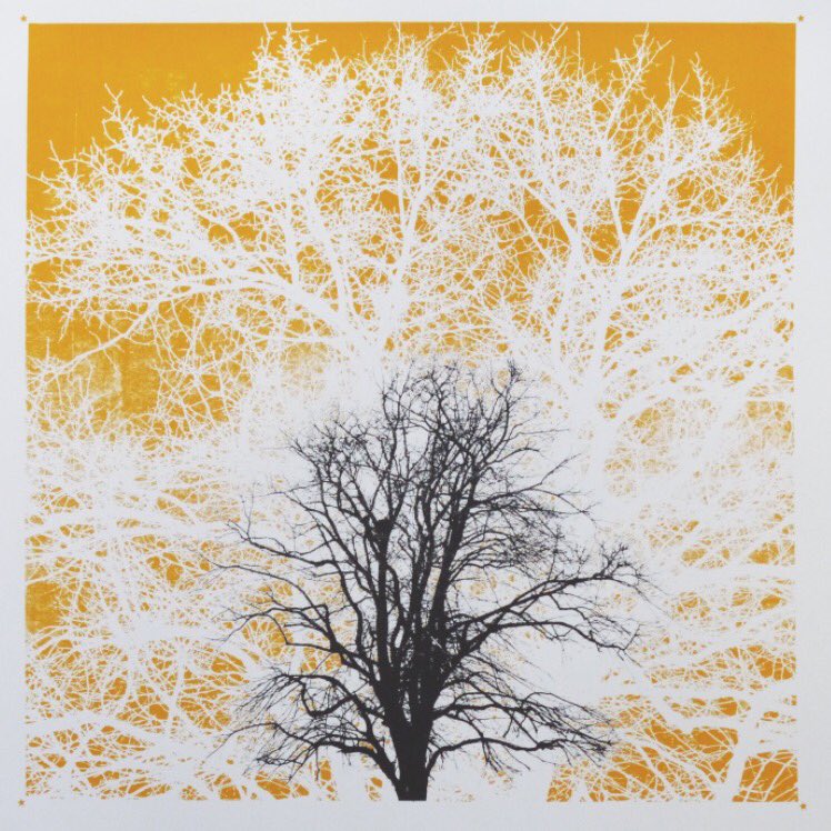 #printmaker Keith Davidson is open today till 5pm. 14 Kilmarsh Road #hammersmith W6 0PL #openstudios #affordableart