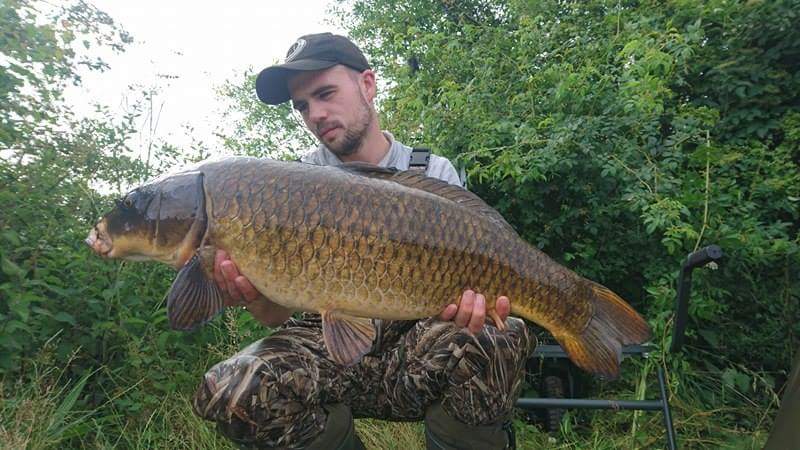 craigcarpman92's tweet photo. 20lb common and a 19lb ghost carp out of canal pacific tuna doin the damage #pacifictunawhites#chods @ccmoore_baits https://t.co/uV0mqfD9ik