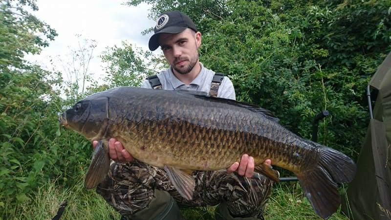 craigcarpman92's tweet photo. 20lb common and a 19lb ghost carp out of canal pacific tuna doin the damage #pacifictunawhites#chods @ccmoore_baits https://t.co/uV0mqfD9ik