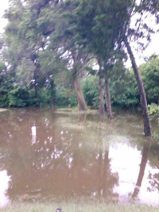 View image on Twitter