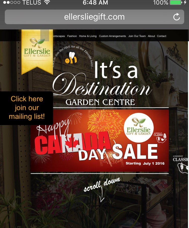 evoLEASEtion's tweet photo. Day 2 of #31DaysOfYEG included stops at #ellersliegift and #classiclandscape. 

great gift shop &amp; plants: + SALE! https://t.co/GcGK4tRW31