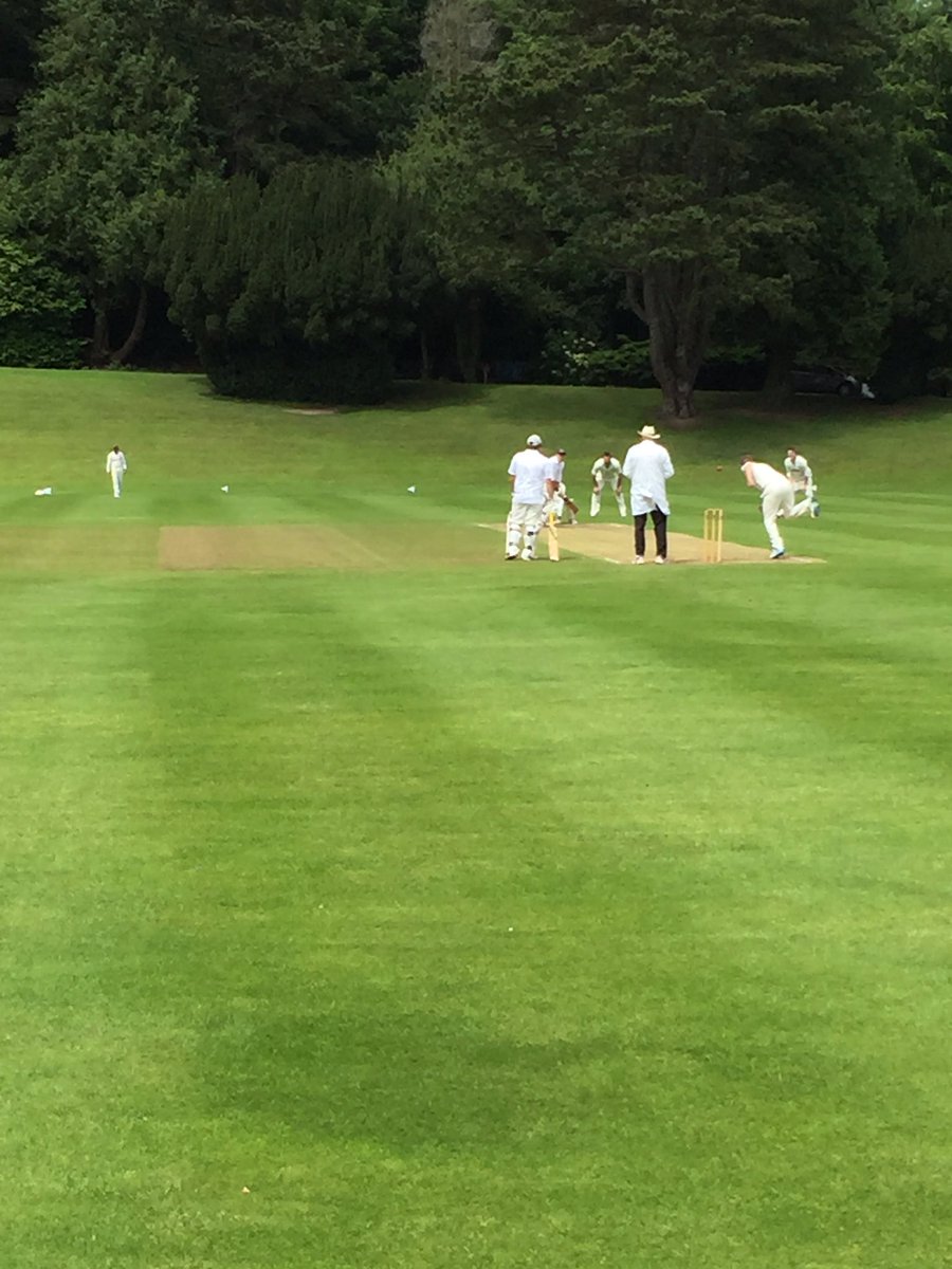GuyOpperman's tweet photo. Game on! Start of the Newton v @DukeinNewton / Newton all stars cricket match. https://t.co/nnxKc6sJm6