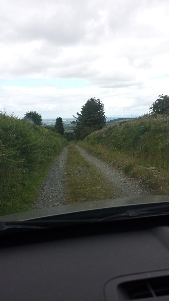 Ka_Freeman's tweet photo. #GrowingUpIrish "don't pick the dandelions" #pissybed https://t.co/aoBJKebNWo