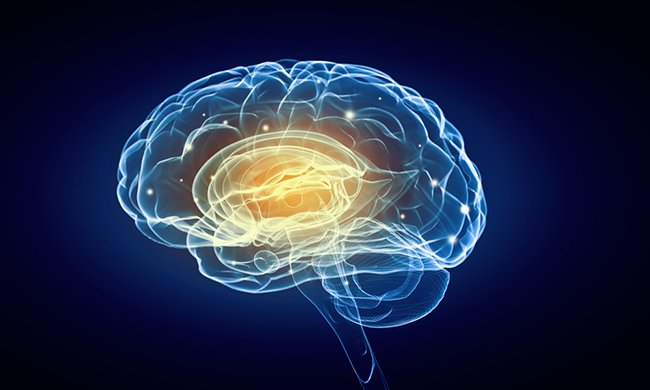 Silencing neuroplastin gene erases Pavlovian #memory: ow.ly/IvPa301NFxn