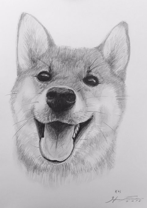 赤柴のtwitterイラスト検索結果 赤柴のtwitterイラスト検索結果