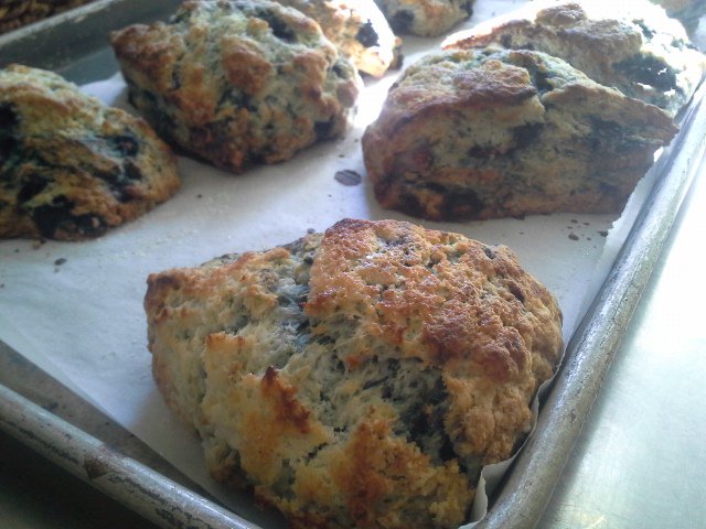 Blueberry lemon kind of morning. #nuttshellscones #aromatherapy