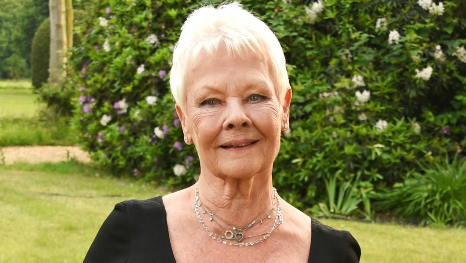 RemoveMyTat's tweet photo. This is great! Judi Dench get's a Carpe Diem tattoo for her Birthday. https://t.co/zUlWaPE2Yb https://t.co/pYU3ASrQ30