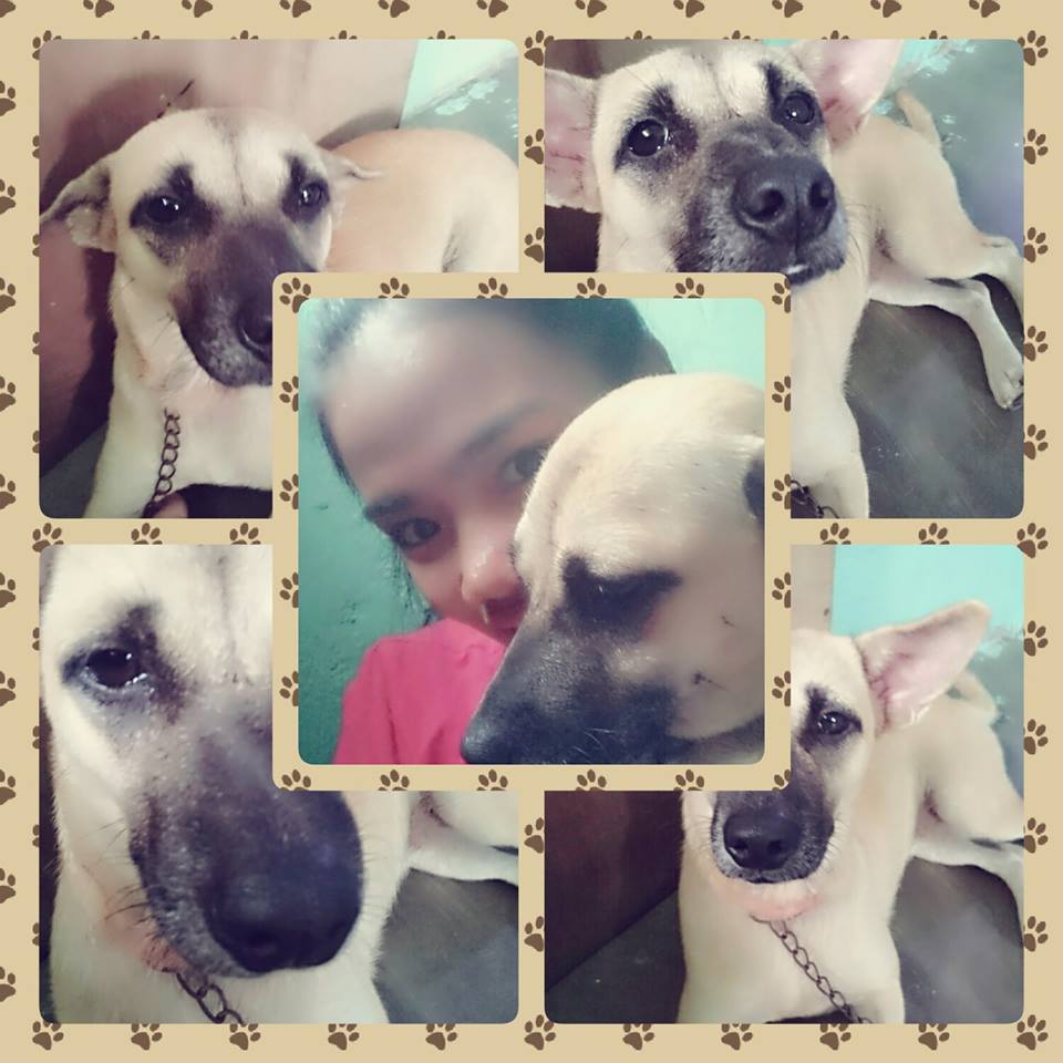 biancamedrano17's tweet photo. Aww! <3 #Moreet #Ilovemoreet <3 https://t.co/v2NnrDGYSR
