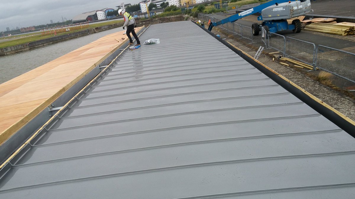 bellzinc tweet media