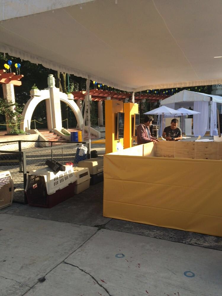 AnneLGR13's tweet photo. Ultimado detalles en el montaje del mejor evento del año #alimentalobueno #jointhegood 🐾
Los esperamos !
9 a 18 hrs https://t.co/nQBzy3Nh3k