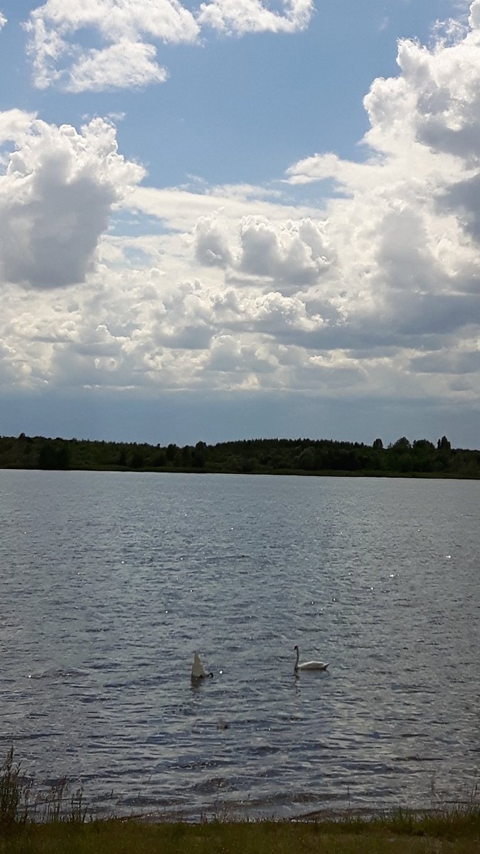 Katja_K_ausLE's tweet photo. Beautiful! π
..it's Laketime again π²ππ
#biking #workout #formthatbutt #relaxing #sun #befree #feelsgood πβ https://t.co/iU4wmEdCCc