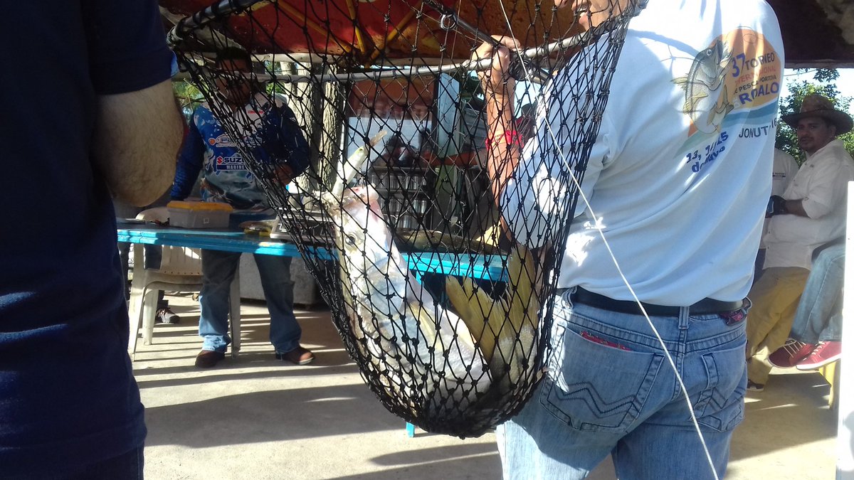 Laalcoba's tweet photo. #2doTorneoInternacionalPescaDeportiva #Centro2016 @JorgeLeyva_ https://t.co/HK9JO5jIiR