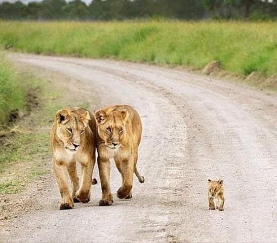 Mr-Shambhuprasaddas (@shambhuprasadd4) on Twitter photo 