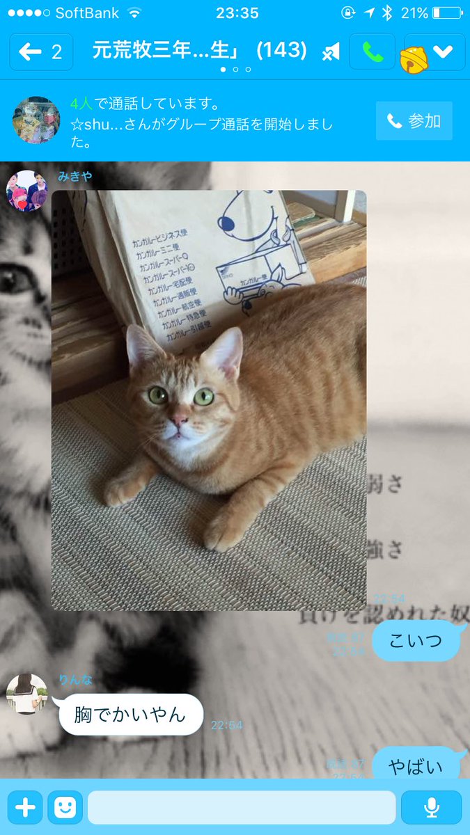 yukisouyunaru3's tweet image. この会話がほんまに意味わからん