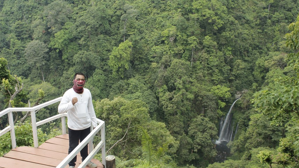 natadecoco791's tweet photo. Tebing Kelep,Senaru 
#infolombok
#lombokituindah https://t.co/uvbK911OJT