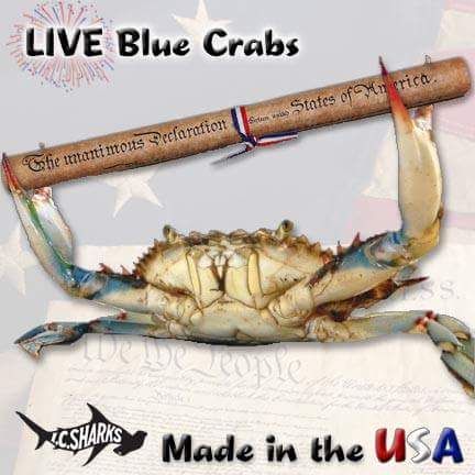 ICSharks's tweet photo. Freshest Seafood on Tampa Bay! #reelfresh #reelfun #realflorida #icsharks #gotcrabs #bluecrabs #freshfromflorida https://t.co/1UFpYwOx2F