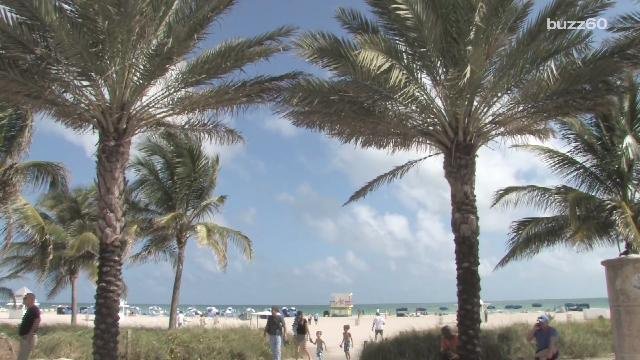 WTAE's tweet photo. ICYMI: Welcome to Miami, The Worst City to Live in America https://t.co/MDoO6RPI7i https://t.co/OspcaxtbgD