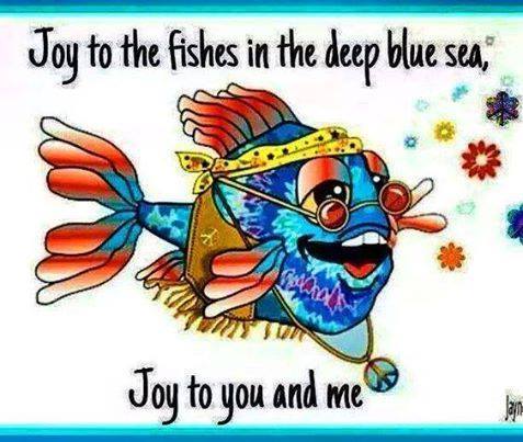 Reel_It_Up's tweet photo. #ReelitUp #LiveHardFishHard #SundayMorning #YouCantBreakMeBecause https://t.co/X9KAzDL2Z0