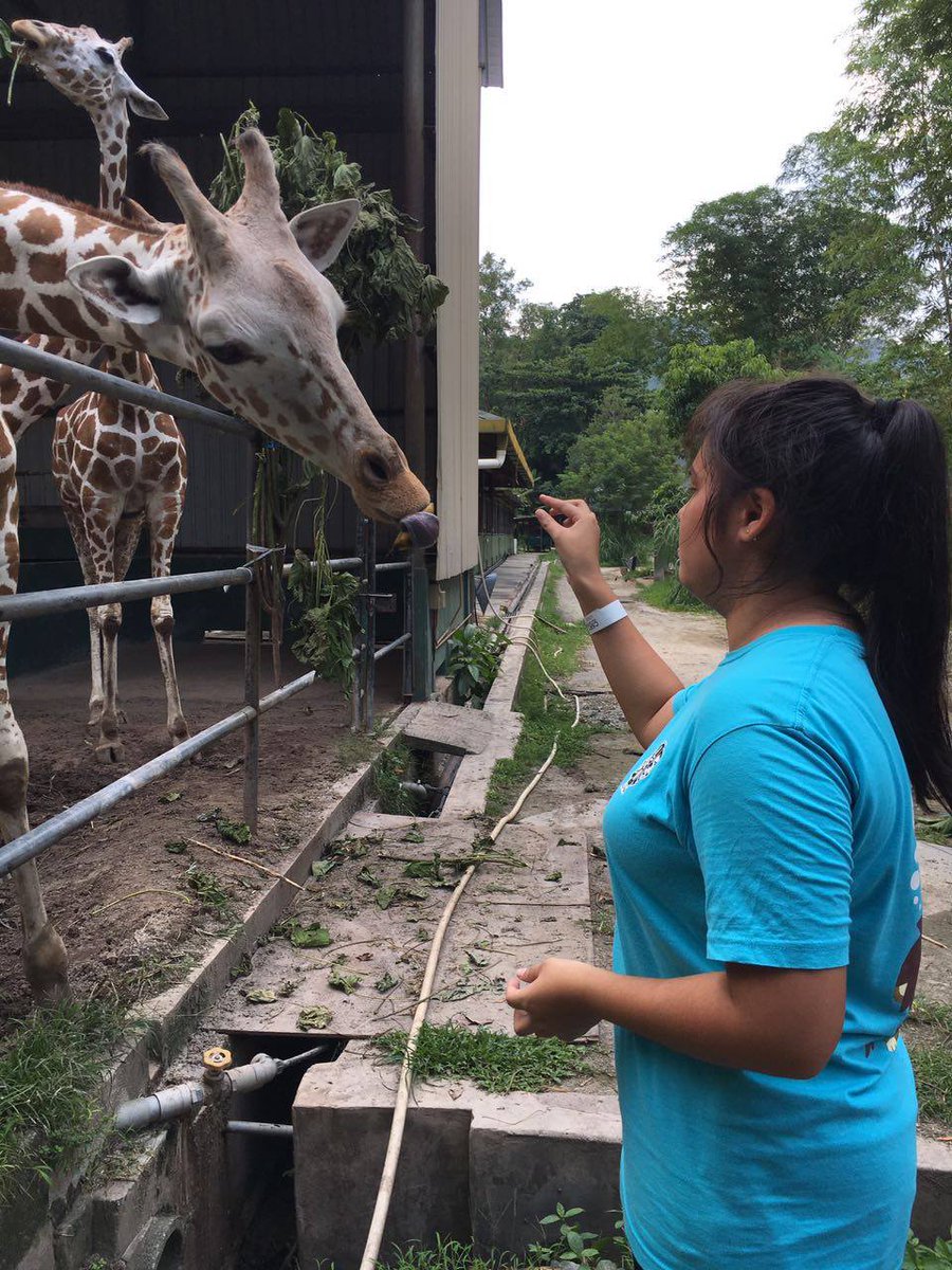 leosmka's tweet photo. 7th June 2016 - 3 Leos had volunteered at Zoo Negara in the project "Zookeeper For A Day". https://t.co/tMONJqRxig