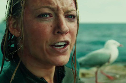 The breakout movie star of the summer is the seagull from The Shallows: slate.me/29atN7W