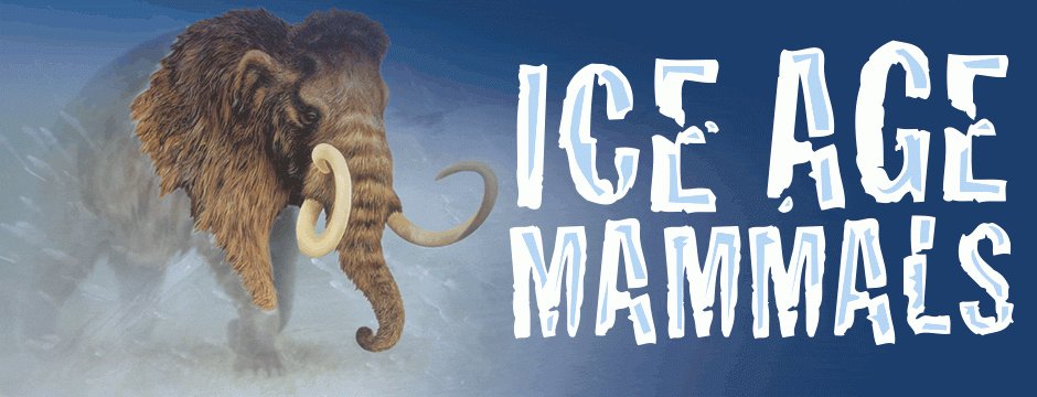 THEMUSEUM's tweet photo. #FrozenFact: Did you know Canada was once home to lions? Learn more about mammals in #IceAgeKW https://t.co/zglFE9f6Ct