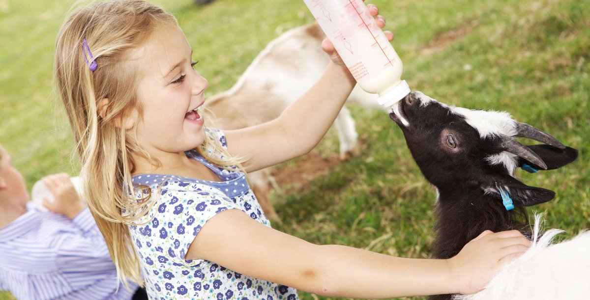 CotswoldsInfo's tweet photo. A summer of fantastic events lined up @CotswoldFarmPrk #CotswoldSummer https://t.co/uLBWZsFa03 https://t.co/yOh3Pklv1j