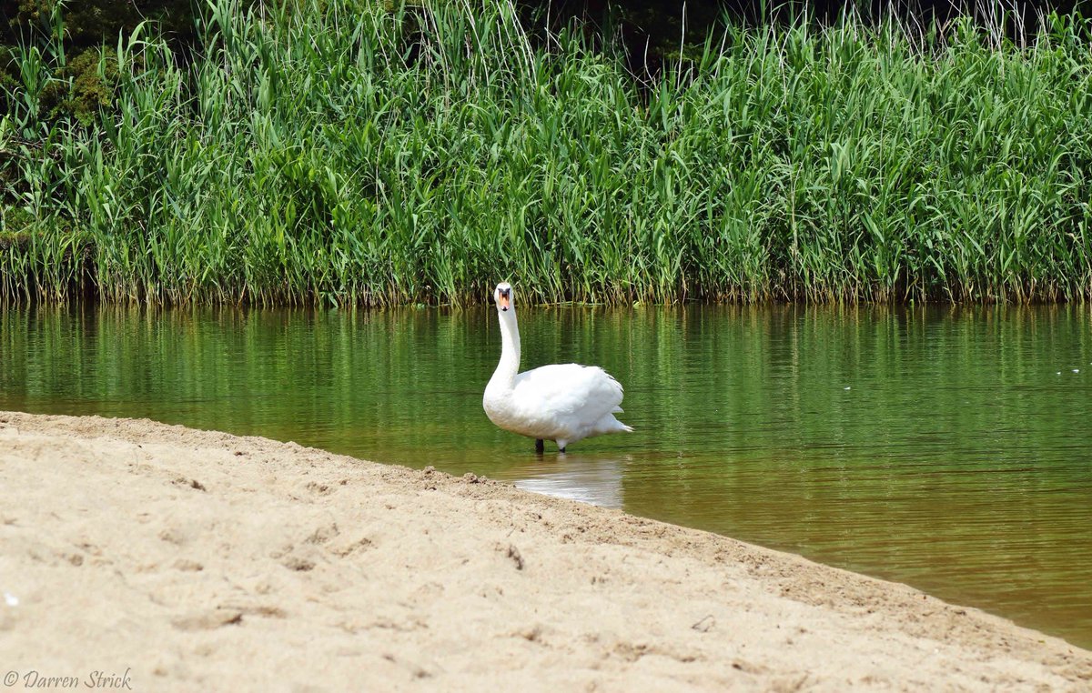 I've been asked before "Why do you love #Cornwall SO MUCH?!"....In 4 pics from a single day the answer is clear...