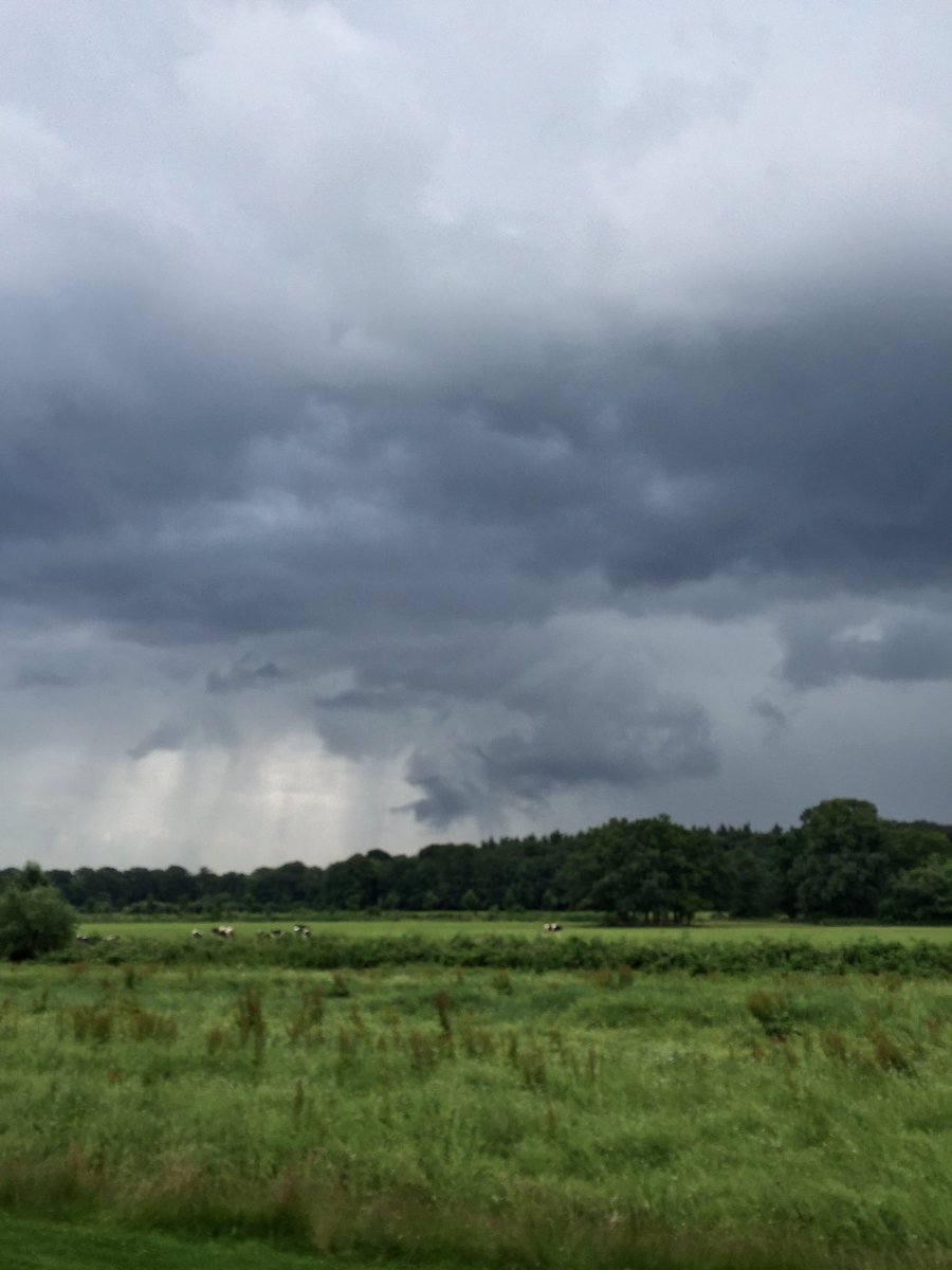 mooiewolken's tweet photo. Onweer boven Boekesteijn 's-Graveland - @mooiewolken https://t.co/ptCU1jQJeh