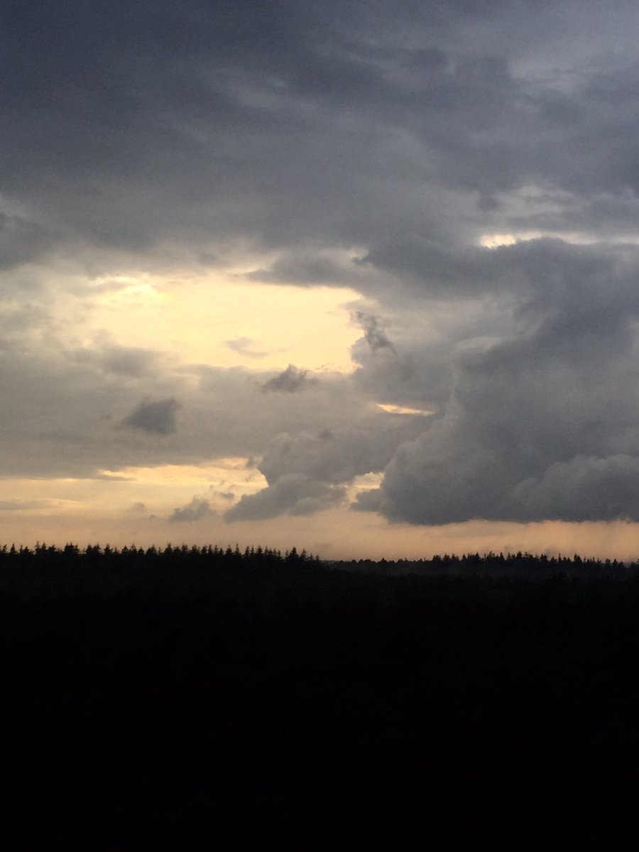 mooiewolken's tweet photo. Vanaf de uitkijktoren op de Elspeterheide - richting het IJsselmeer - @mooiewolken https://t.co/dpjcrOy0qt