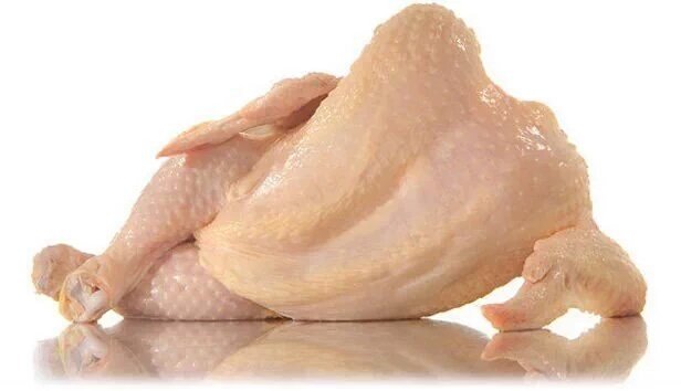 karinaperezda's tweet photo. Somethin' 'bout you makes me feel like a dangerous chicken... @LaurenJauregui 
#NudesForLauren https://t.co/dY5RUJRR0M