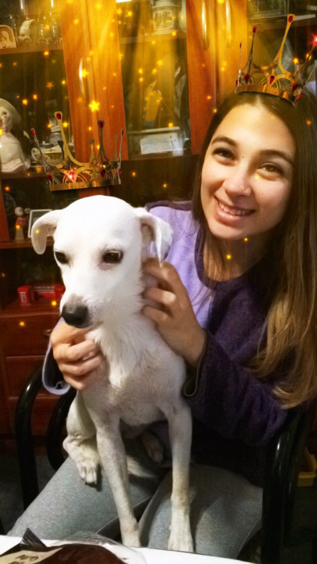 Y yo que intentaba con el gato... 🐶💕