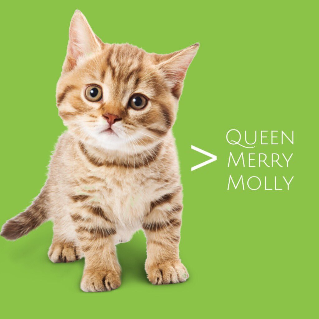 Honest Maids tweet media