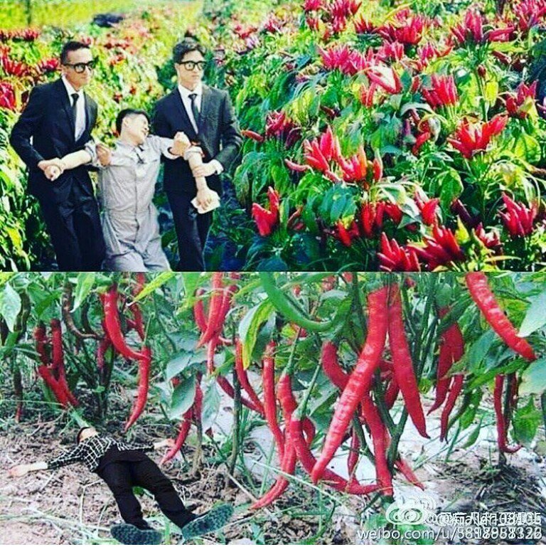 ZKalaycolu's tweet photo. Ya dbhsbshajajannsbshs https://t.co/h7CgGbEcwa