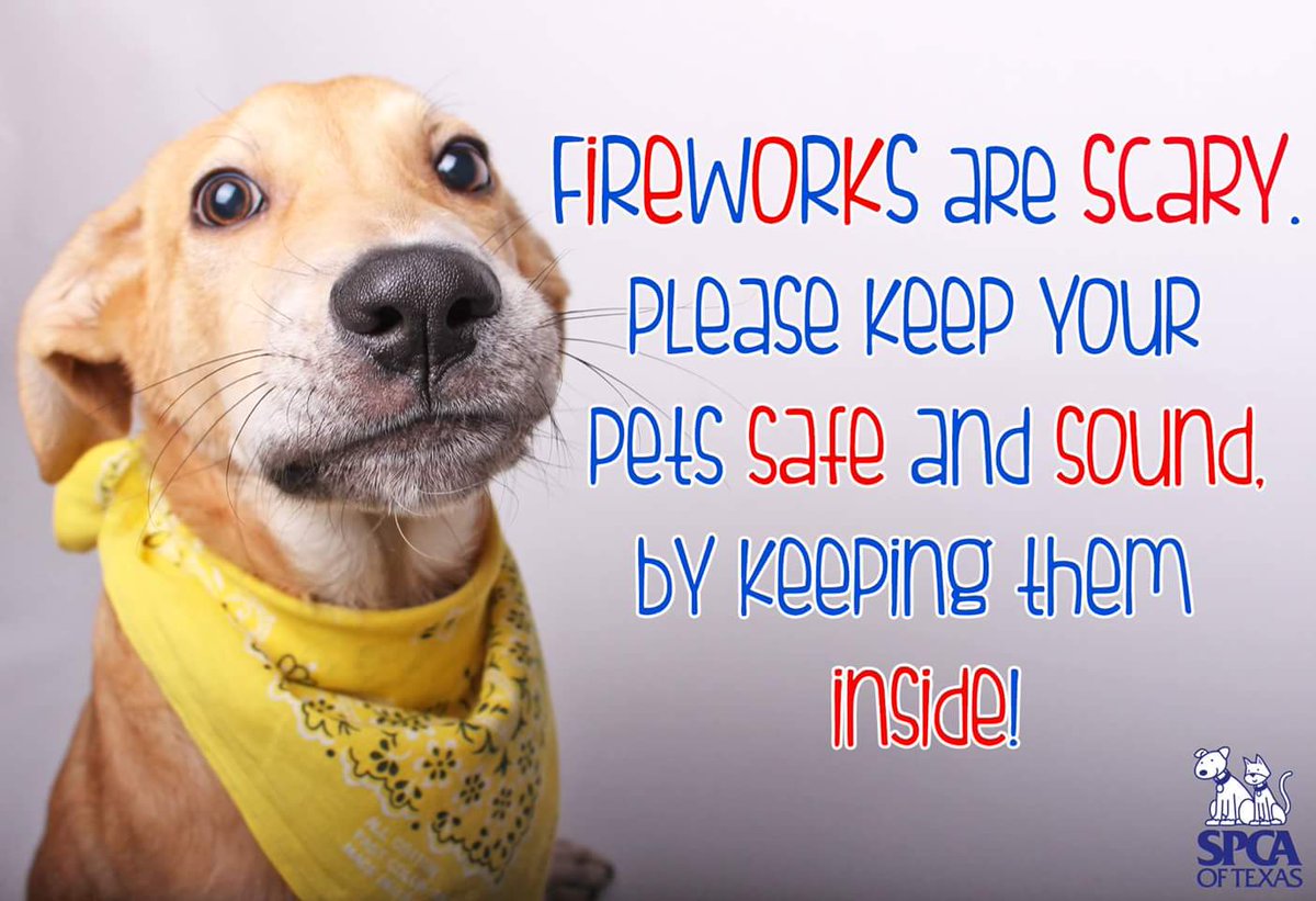 AmerAttorneys's tweet photo. This weekend please remember that most pets are lost on the 4th of July than any other- @spcaoftexas #pet #fireworks https://t.co/tGPUiu161i