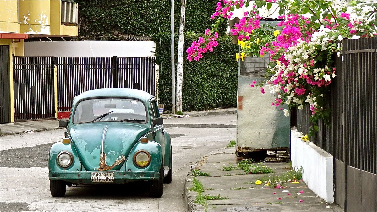 pitonizza's tweet image. #Pichirilo ¿qué color...?