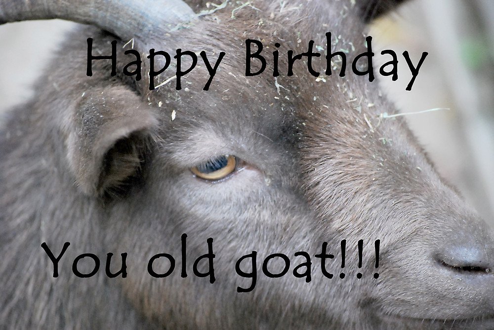 OleTillyGoat's tweet photo. Happy Birthday, @billykstrike 🎉🐐🎉🐐🎉🐐🎉🐐🎉🐐🎉🐐🎉 https://t.co/NvjmrPDo6t