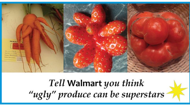 UglyFruitAndVeg's tweet photo. Sacramento Friends - Check it out, an "ugly" produce petition to @Walmart in your area. https://t.co/cHPHTvdkep 👈👀✍ https://t.co/vw6Sw4c1WU