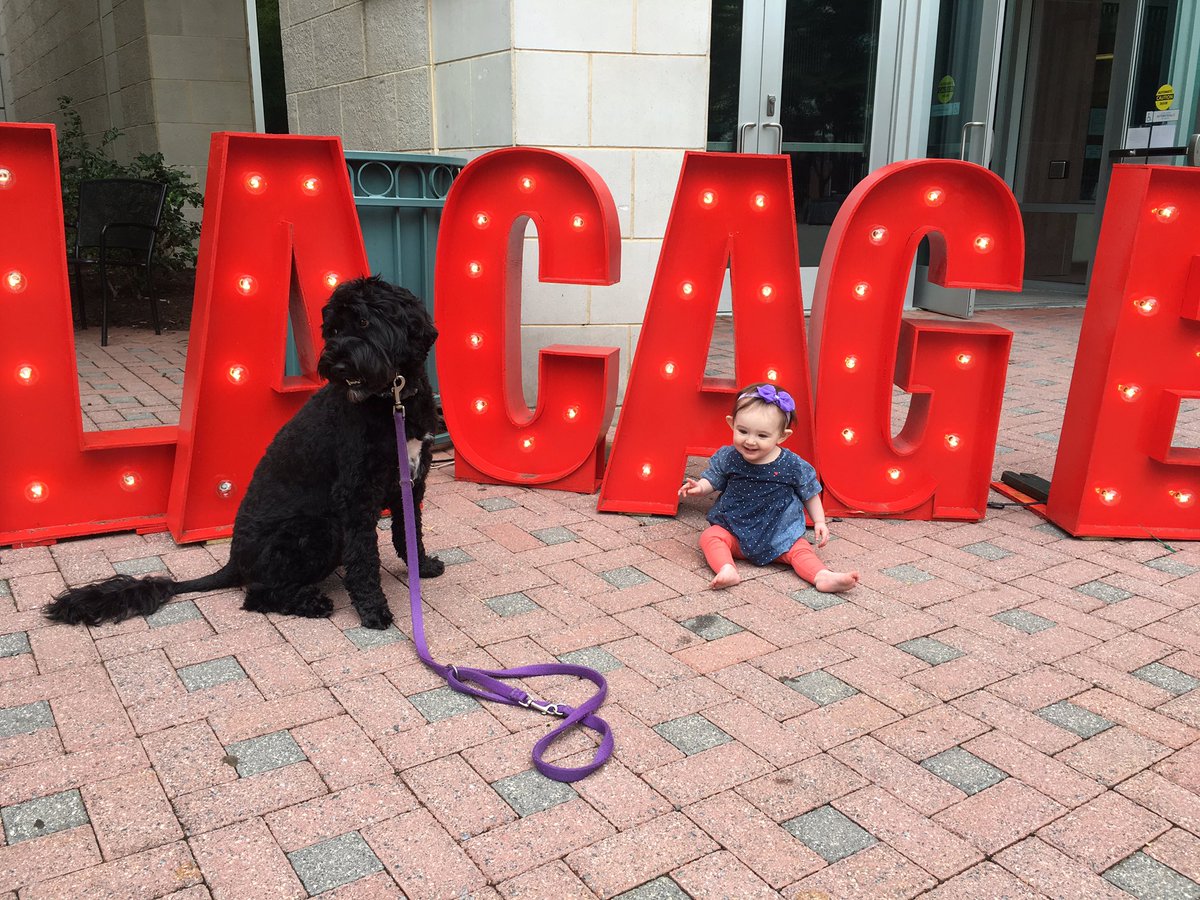 #siglacage Stella &amp; Mayzee want mommy and daddy to have a night out :)