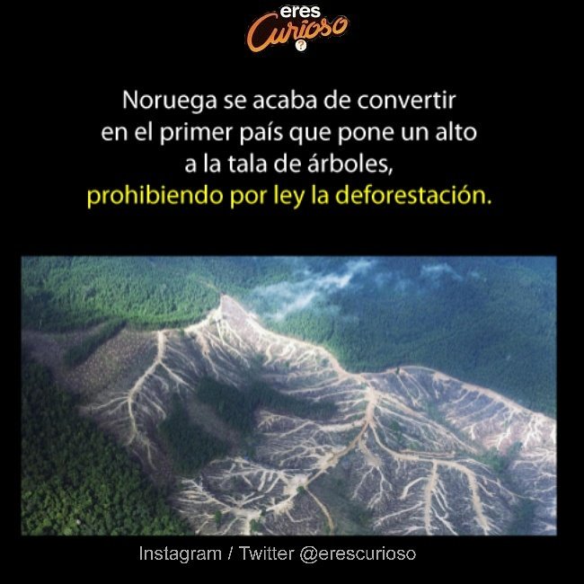 EresCurioso's tweet photo. #Curiosidades https://t.co/zCJ8DWknEF