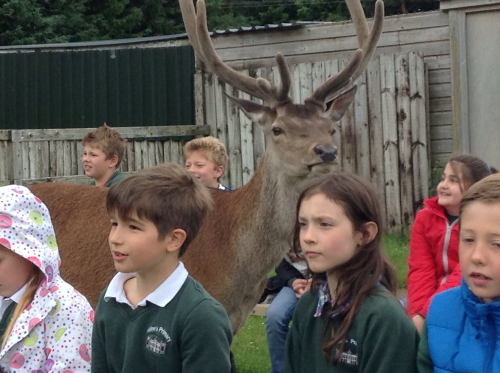 Milne's Primary tweet media