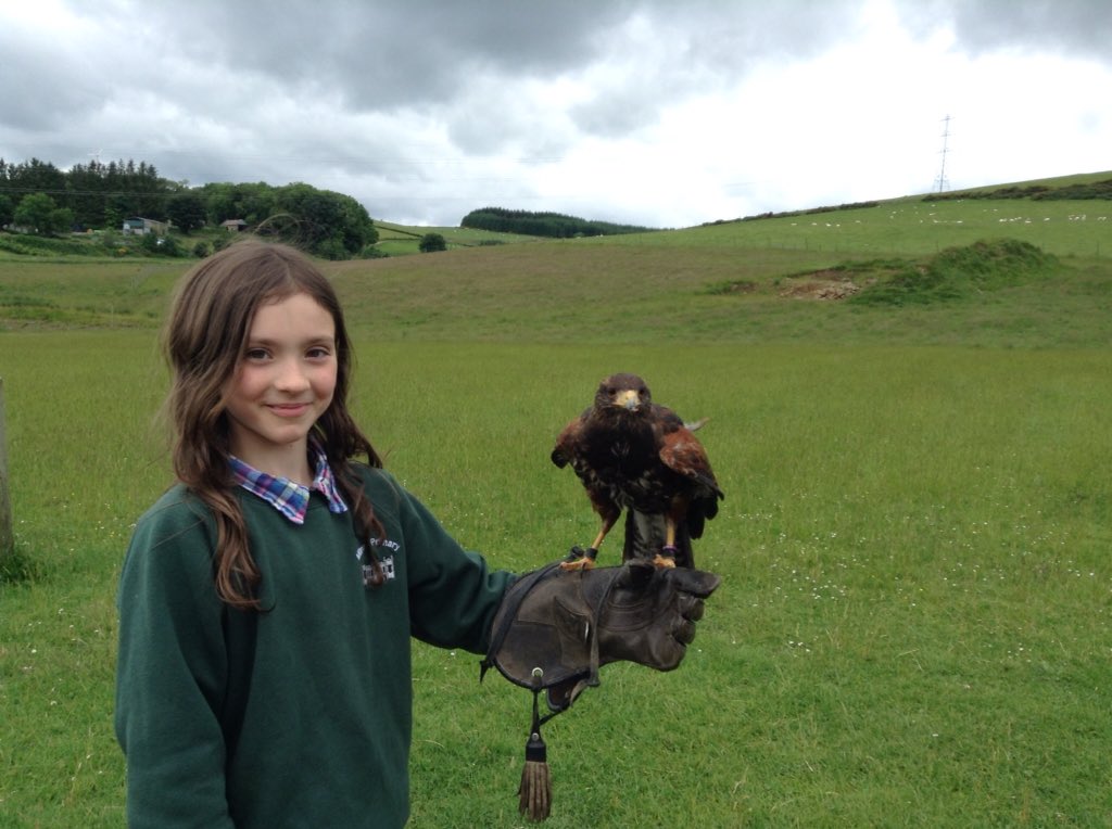 Milne's Primary tweet media