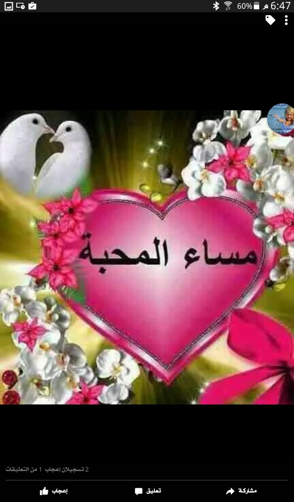 ksa050043's tweet photo. احلا حنان ومساج بدون جنس اربعيني حنون رجولي اعشق كل مهو جميل الدرب اوبها https://t.co/O2dyDly1dV