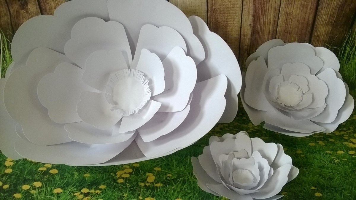 AlwaysnBlossom's tweet photo. Giant Paper Flower Wall any color Rose 3 sizes Weddin… https://t.co/E25gpRxcIe #KikisCollections #FlowerWallBackdrop https://t.co/ClKv8TRExs