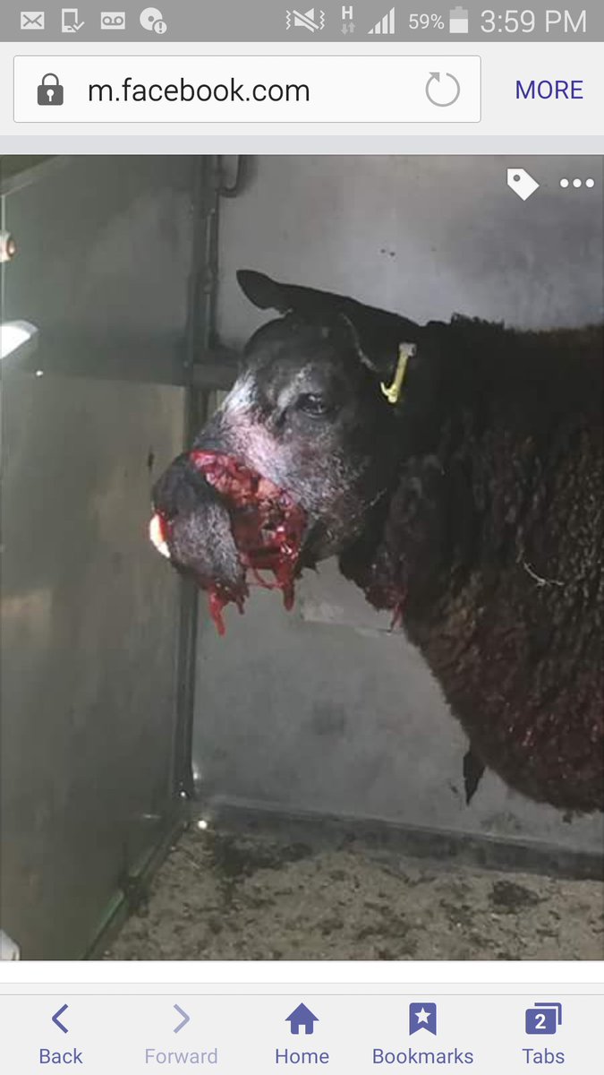 Rosie Hetherington tweet media