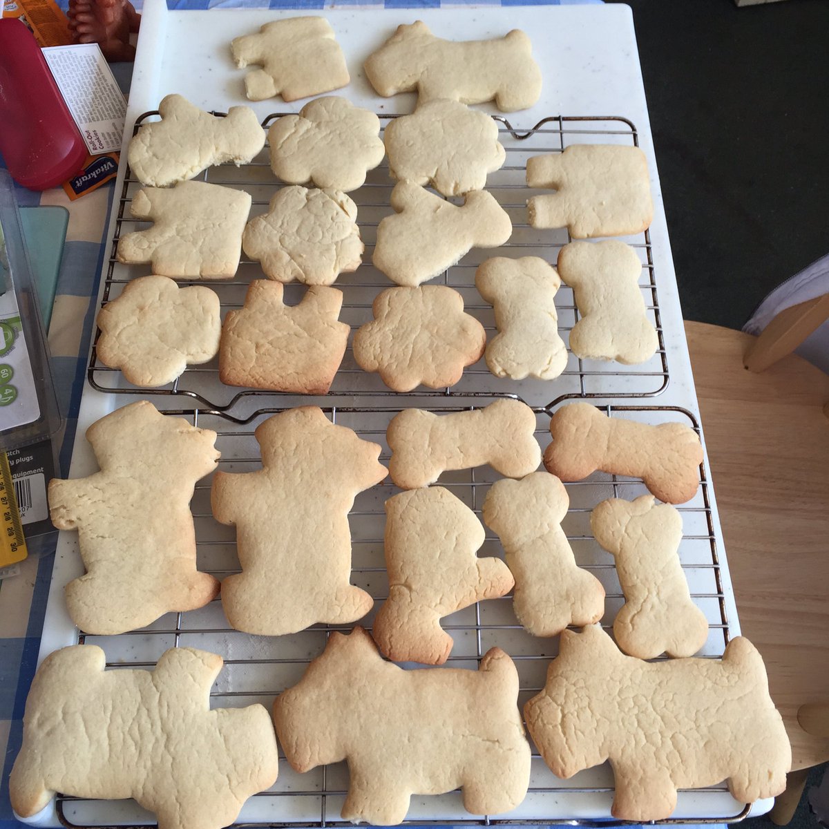 andreas_1669's tweet photo. Biscuits baked and ready for (do I or don't I) icing. #biscuits #cookies #funshapes https://t.co/0tKtcPkSwJ