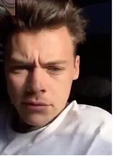 myonlywayharry's tweet photo. NONONONO HARRY STYLES MIS HORMONAS AYUDA SJSIWBSIWNWKW https://t.co/FBMLXJdnJZ