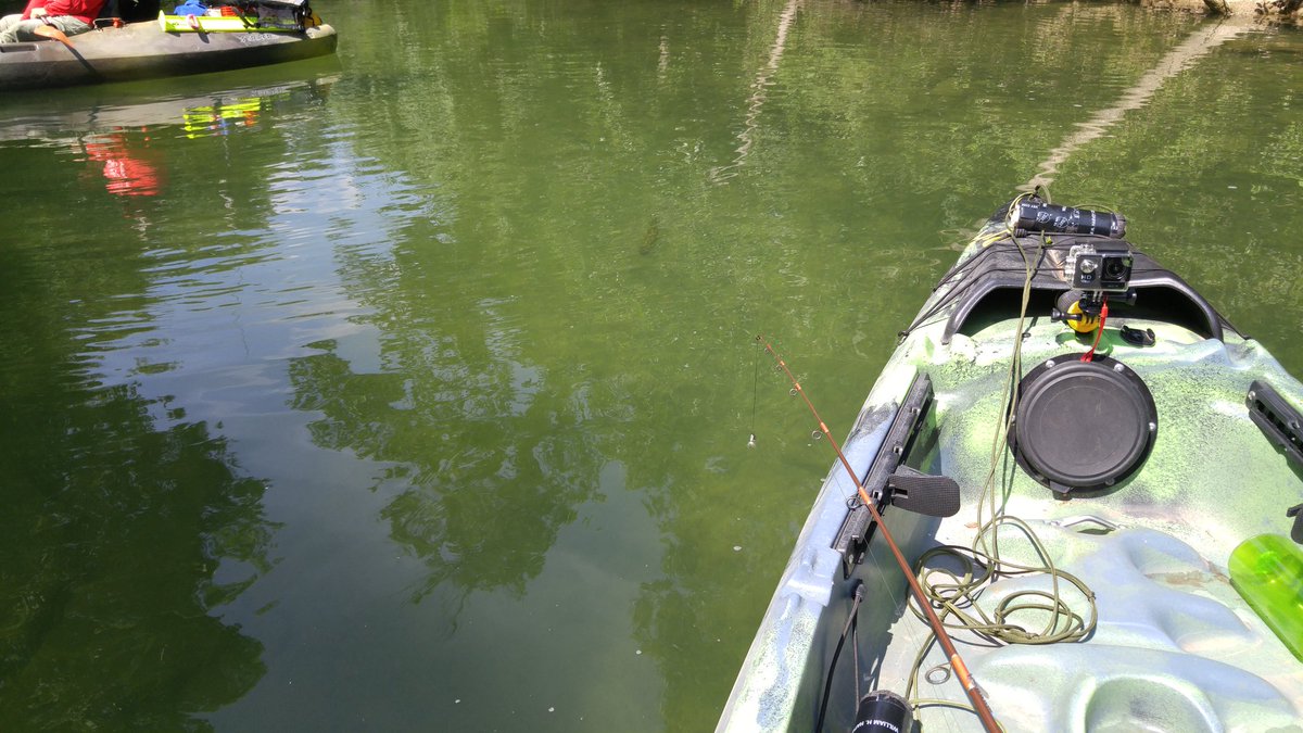 Mike Van Nattan tweet media