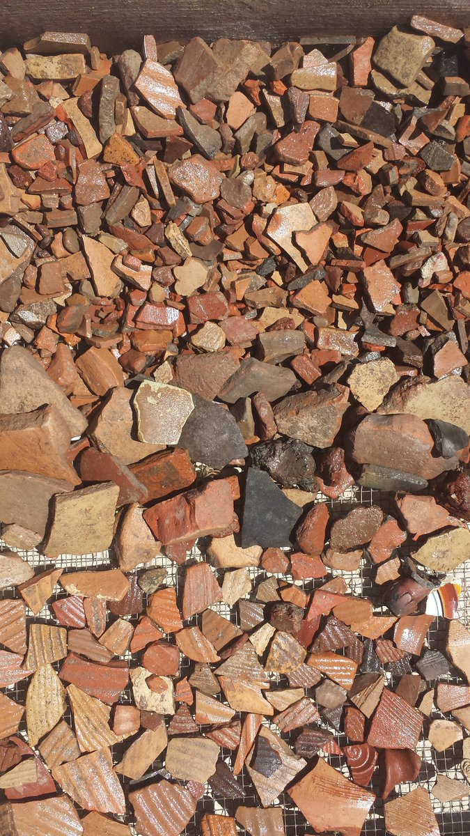 TMSifting's tweet photo. So much pottery at the #TempleMount #SiftingProject https://t.co/cEMOm3givv